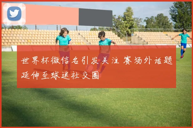 世界杯微信名引发关注 赛场外话题延伸至球迷社交圈
