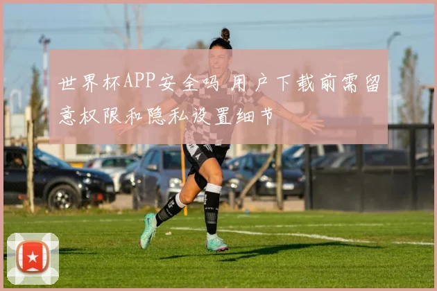 世界杯APP安全吗 用户下载前需留意权限和隐私设置细节