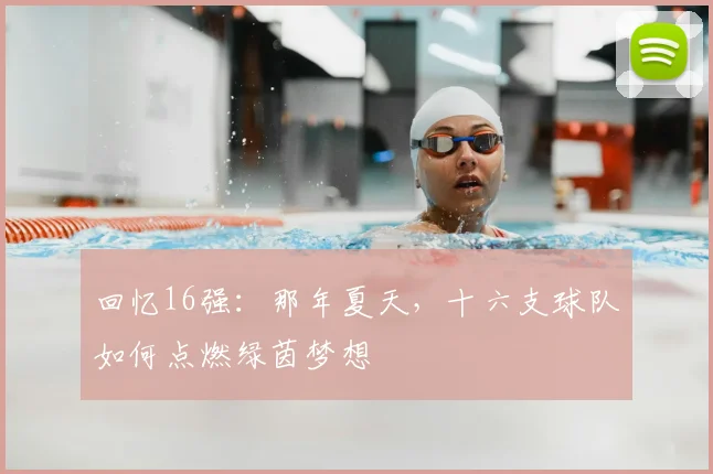 回忆16强：那年夏天，十六支球队如何点燃绿茵梦想