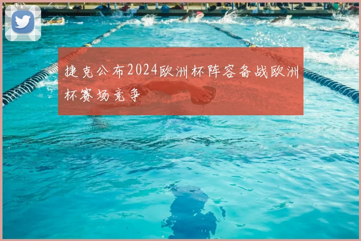 捷克公布2024欧洲杯阵容备战欧洲杯赛场竞争