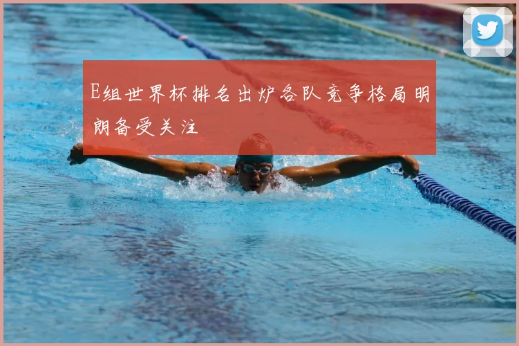 E组世界杯排名出炉各队竞争格局明朗备受关注