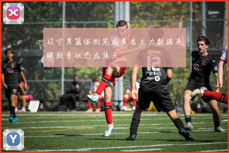 辽宁男篮体测完成多名主力数据亮眼新季状态成焦点