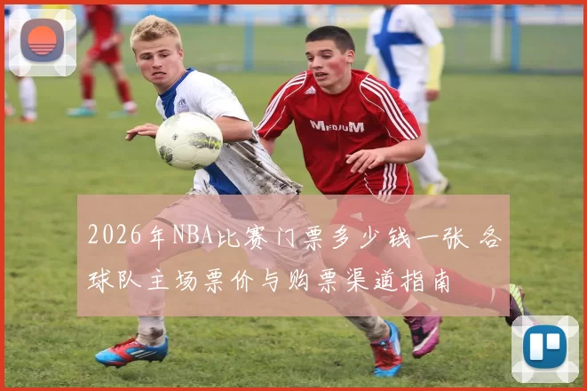 2026年NBA比赛门票多少钱一张 各球队主场票价与购票渠道指南